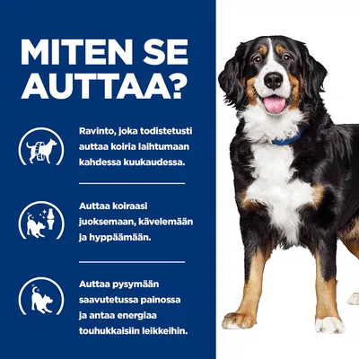 Teksti: MITEN SE AUTTAA? Ravinto, joka todistetusti auttaa koiria laihtumaan kahdessa kuukaudessa. Auttaa koiraasi juoksemaan, kävelemään ja hyppäämään. Auttaa pysymään saavutetussa painossa.