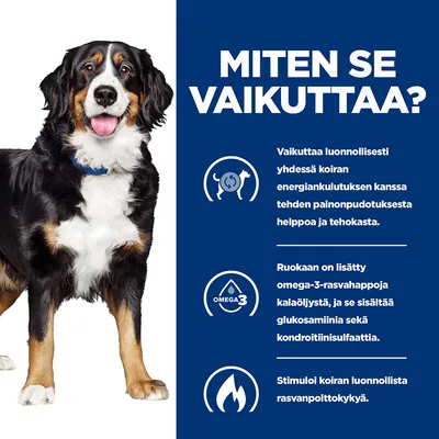 Teksti: MITEN SE VAIKUTTAA? Vaikuttaa luonnollisesti yhdessä koiran energiankulutuksen kanssa, omega-3-rasvahappoja kalaöljystä, glukosamiinia ja kondroitiinisulfaattia, stimuloi rasvanpolttokykyä.