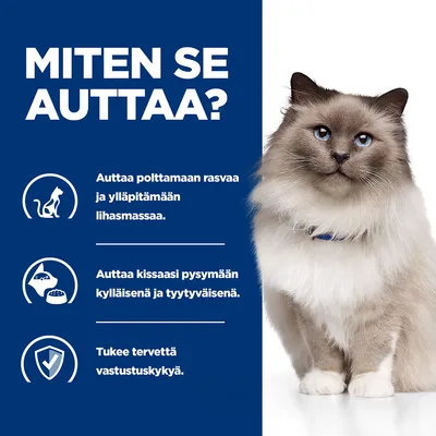 MITEN SE AUTTAA? Auttaa polttamaan rasvaa ja ylläpitämään lihasmassaa. Auttaa kissaasi pysymään kylläisenä ja tyytyväisenä. Tukee tervettä vastustuskykyä.