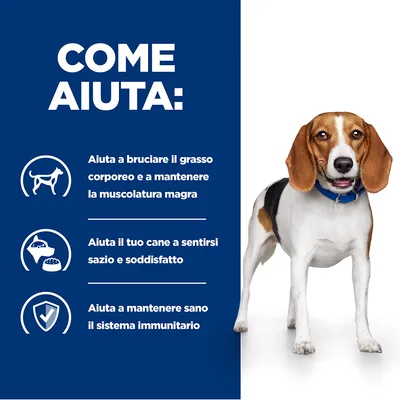 COME AIUTA: Aiuta a bruciare il grasso corporeo e a mantenere la muscolatura magra. Aiuta il tuo cane a sentirsi sazio e soddisfatto. Aiuta a mantenere sano il sistema immunitario.