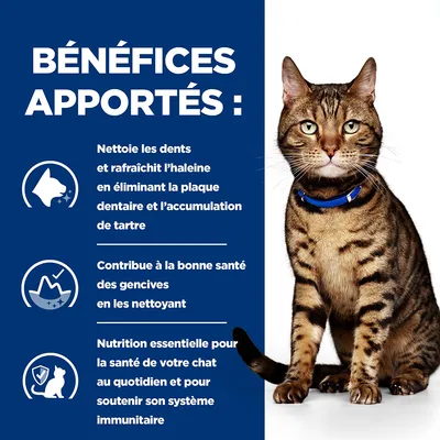 BÉNÉFICES APPORTÉS : Nettoie les dents, rafraîchit l’haleine, élimine la plaque dentaire et le tartre, contribue à la santé des gencives, nutrition essentielle pour le système immunitaire du chat.