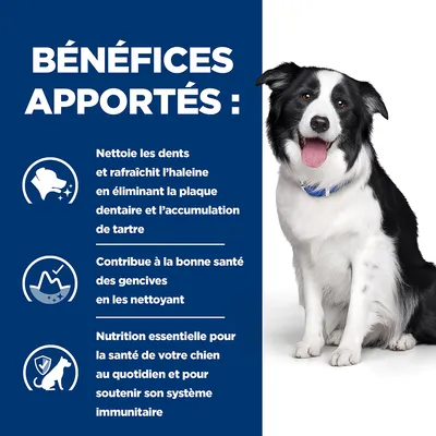 BÉNÉFICES APPORTÉS : Nettoie les dents, rafraîchit l’haleine, élimine la plaque dentaire et le tartre, contribue à la santé des gencives, nutrition essentielle pour soutenir le système immunitaire.