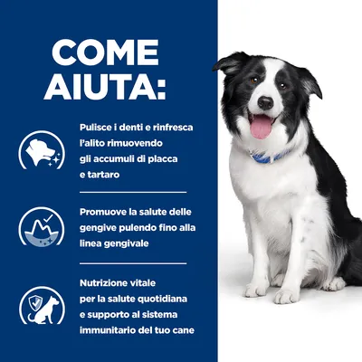 COME AIUTA: Pulisce i denti e rinfresca l’alito rimuovendo placca e tartaro. Promuove la salute delle gengive. Nutrizione vitale per la salute quotidiana e supporto al sistema immunitario.