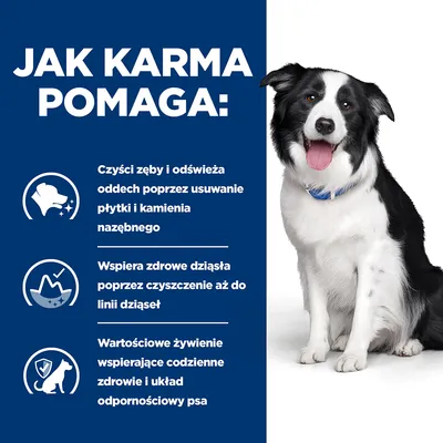 Jak karma pomaga: czyści zęby i odświeża oddech, wspiera zdrowe dziąsła, wartościowe żywienie wspierające codzienne zdrowie i odporność psa. Obok siedzi czarno-biały pies.