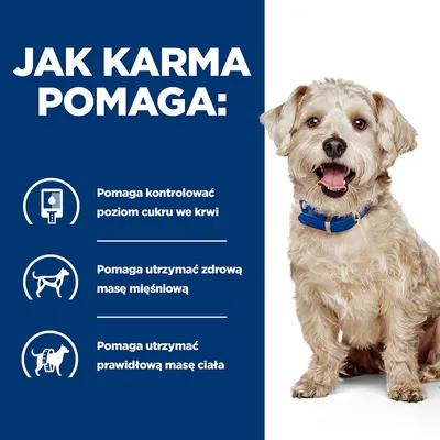 Jak karma pomaga: pomaga kontrolować poziom cukru we krwi, utrzymać zdrową masę mięśniową i prawidłową masę ciała. Obok siedzi pies w niebieskiej obroży.