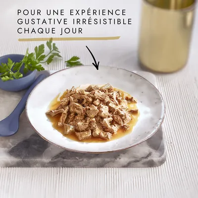 Assiette de nourriture humide en morceaux avec sauce, texte visible : « Pour une expérience gustative irrésistible chaque jour » inscrit au-dessus du plat.