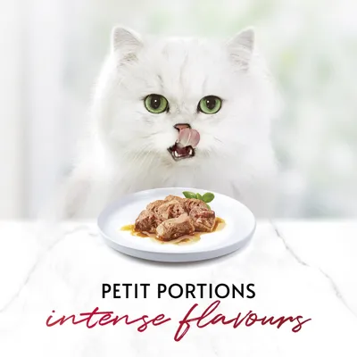 Plate with small portion of wet food in gravy. Text reads: petit portions, intense flavours.