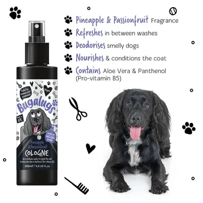 Bugalugs Pineapple & Passionfruit Cologne with aloe vera and panthenol. Refreshes, deodorises, nourishes coat, suitable for use between washes. Shown with a black dog.
