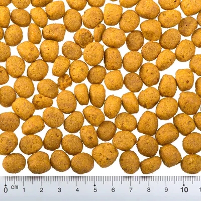 Croquetas redondas de pienso para mascotas sobre fondo blanco, con regla en la parte inferior que muestra el tamaño aproximado de cada croqueta entre 1 y 1,5 cm.