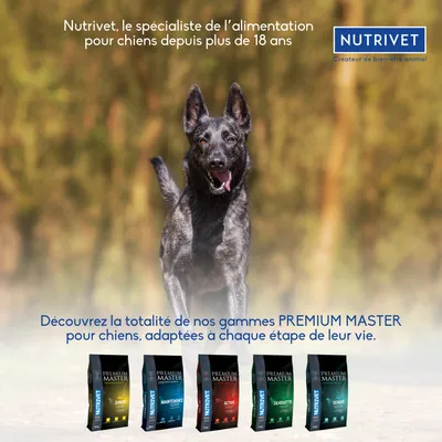 Nutrivet, le spécialiste de l’alimentation pour chiens depuis plus de 18 ans. Découvrez nos gammes PREMIUM MASTER : Junior, Maintenance, Active, Silhouette, Senior.