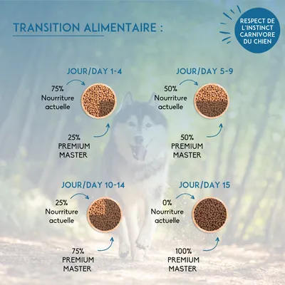 Transition alimentaire : jours 1–4, 75 % nourriture actuelle, 25 % PREMIUM MASTER ; jours 5–9, 50 % chaque ; jours 10–14, 25 % nourriture actuelle, 75 % PREMIUM MASTER ; jour 15, 100 % PREMIUM MASTER.