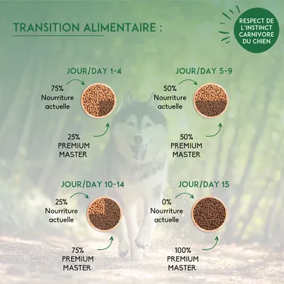 Transition alimentaire : jours 1–4, 75 % nourriture actuelle, 25 % PREMIUM MASTER ; jours 5–9, 50 % de chaque ; jours 10–14, 25 % actuelle, 75 % PREMIUM MASTER ; jour 15, 100 % PREMIUM MASTER.