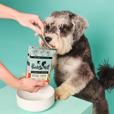 Person opening a carton of wet food and pouring it into a bowl, with a pet standing nearby. The image shows how to serve the product.