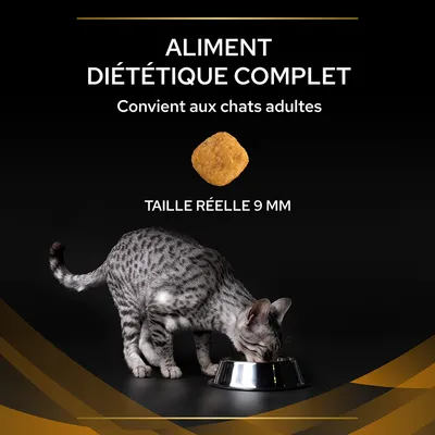 Aliment diététique complet pour chats adultes, croquette taille réelle 9 mm, chat gris tigré mangeant dans une gamelle en métal. Texte visible : Convient aux chats adultes.