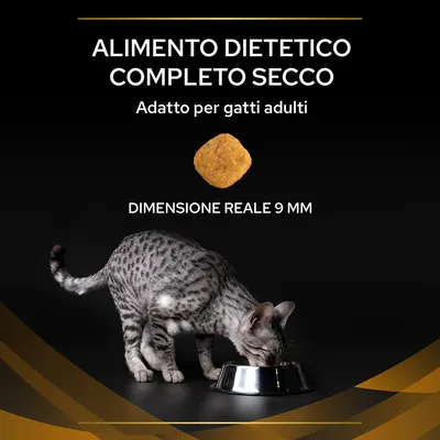 Alimento dietetico completo secco, adatto per gatti adulti, crocchetta dimensione reale 9 mm, gatto grigio che mangia da una ciotola.