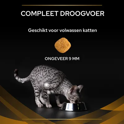 COMPLEET DROOGVOER, Geschikt voor volwassen katten, brokjes ongeveer 9 mm. Afbeelding van een kat etend uit een metalen bakje.