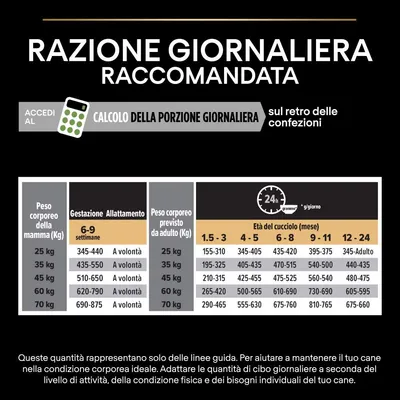 Tabella razione giornaliera raccomandata per cani: quantità in grammi secondo peso corporeo e età del cucciolo, con indicazioni per gestazione e allattamento. Calcolo porzione giornaliera.