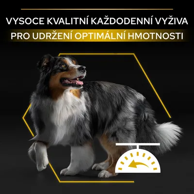 VYSOCE KVALITNÍ KAŽDODENNÍ VÝŽIVA PRO UDRŽENÍ OPTIMÁLNÍ HMOTNOSTI, pes a ikona váhy na černém pozadí
