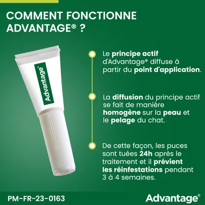 Pipettes Advantage 80