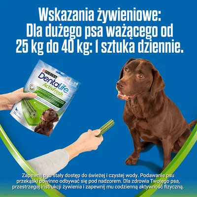 Wskazania żywieniowe: dla dużego psa ważącego od 25 kg do 40 kg: 1 sztuka dziennie. Opakowanie Purina DentaLife ActivFresh, pies otrzymuje przysmak. Tekst o dostępie do wody i aktywności.