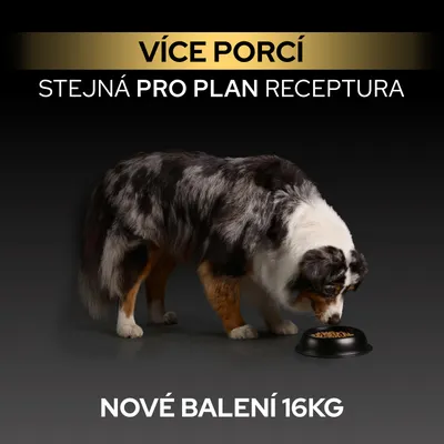 Viac porcií, rovnaká receptúra Pro Plan, nové balenie, 16 kg. Pes žerie z misky. Viac porcií, rovnaká receptúra Pro Plan, nové balenie, 16 kg. Pes žerie z misky.