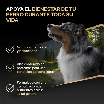Apoya el bienestar de tu perro: alimentación completa y equilibrada, alto contenido de proteínas para una condición corporal ideal, combinación de nutrientes para la salud general. Apoya el bienestar de tu perro: alimentación completa y equilibrada, alto contenido de proteínas para una condición corporal ideal, combinación de nutrientes para la salud general.