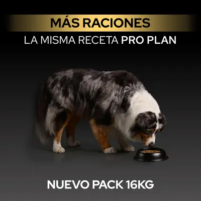 Más porciones, misma receta Pro Plan, nuevo paquete de 16 kg. El perro come de su cuenco. Más porciones, misma receta Pro Plan, nuevo paquete de 16 kg. El perro come de su cuenco.
