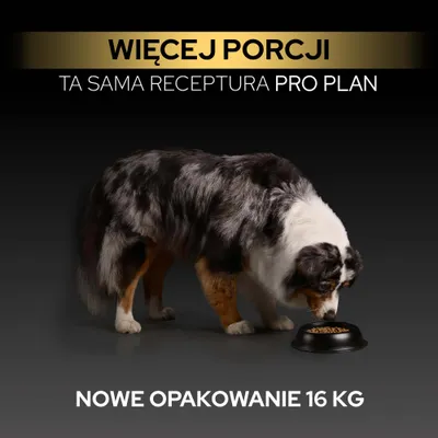 Więcej porcji, ta sama receptura Pro Plan. Nowe opakowanie, 16 kg. Pies je z miski. Więcej porcji, ta sama receptura Pro Plan. Nowe opakowanie, 16 kg. Pies je z miski.