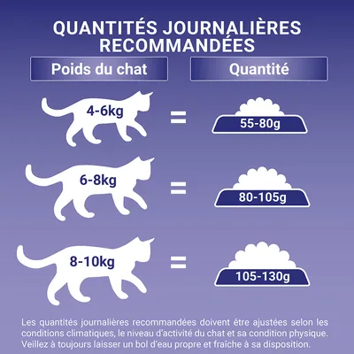 Tableau des quantités journalières recommandées : chat 4–6 kg 55–80 g, 6–8 kg 80–105 g, 8–10 kg 105–130 g. Conseils d’ajustement et eau fraîche indiqués.