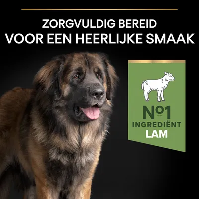 Zorgvuldig bereid voor een heerlijke smaak. Nº1 ingrediënt lam. Afbeelding van een grote hond met bruin-zwarte vacht naast een groen label met een lamsymbool.