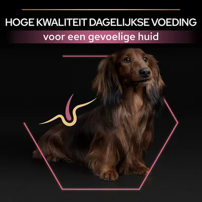 HOGE KWALITEIT DAGELIJKSE VOEDING voor een gevoelige huid, afbeelding van een langharige hond met grafisch element op de vacht.