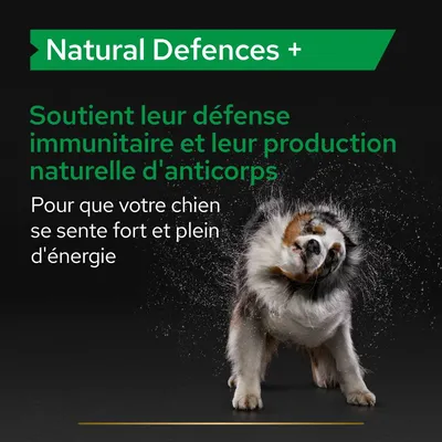 Natural Defences +. Soutient leur défense immunitaire et leur production naturelle d'anticorps. Pour que votre chien se sente fort et plein d'énergie.