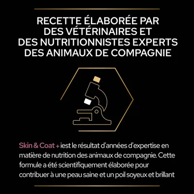 Recette élaborée par des vétérinaires et nutritionnistes experts. Skin & Coat+ : formule pour une peau saine et un poil soyeux, résultat d’années d’expertise en nutrition animale.