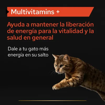 Texto: Multivitamins +. Ayuda a mantener la liberación de energía para la vitalidad y la salud en general. Dale a tu gato más energía en su salto.