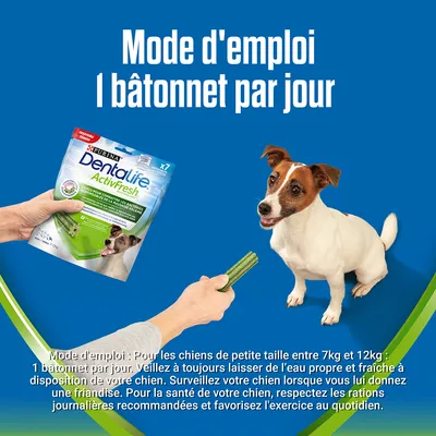 Mode d'emploi : 1 bâtonnet par jour. Purina Dentalife ActivFresh pour chiens de 7 à 12 kg, sachet vert et blanc, main tenant un bâtonnet devant un petit chien blanc et marron.