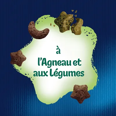 à l’Agneau et aux Légumes