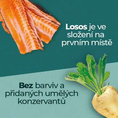 Text v češtine: Losos je ve složení na prvním místě. Bez barviv a přidaných umělých konzervantů.