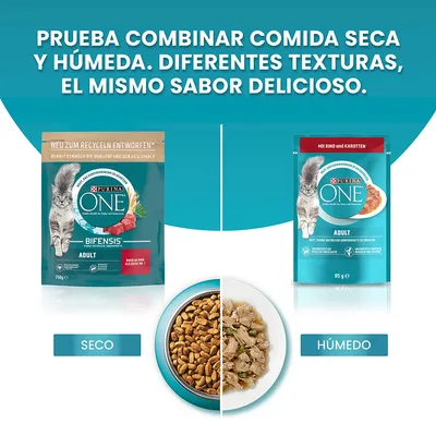 Comida para gatos Purina ONE Adult: paquete seco Bifensis 750 g y húmedo 85 g. Plato dividido con comida seca y húmeda. Texto: Seco, Húmedo.