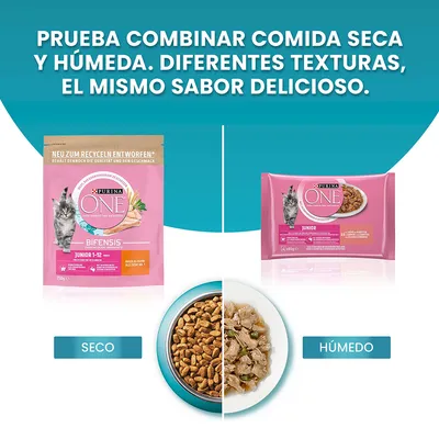 Purina ONE Bifensis Junior 1-12 meses. Comida seca y húmeda para gatos, muestra envase de pienso seco y sobre de comida húmeda, con platos ilustrando ambas texturas.