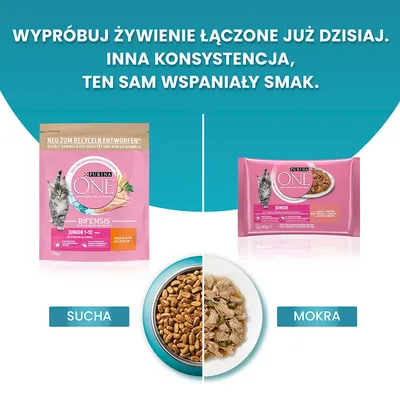 Purina ONE Bifensis Junior 1–12 karma dla kociąt: po lewej opakowanie suchej karmy, po prawej mokrej. Na dole miski z suchą i mokrą karmą, napisy: SUCHa, MOKRA.