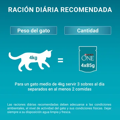 Ración diaria recomendada: para un gato de 4 kg, servir 3 sobres Purina ONE 4x85g al día en al menos 2 comidas. Instrucciones sobre agua y ajuste según actividad visibles.