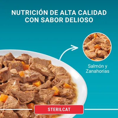 Comida húmeda para gatos Sterilcat, trozos de salmón y zanahorias en salsa. Texto visible: 'Nutrición de alta calidad con sabor delicioso', 'Salmón y Zanahorias', 'STERILCAT'.