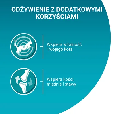Odżywienie z dodatkowymi korzyściami: wspiera witalność Twojego kota oraz kości, mięśnie i stawy.