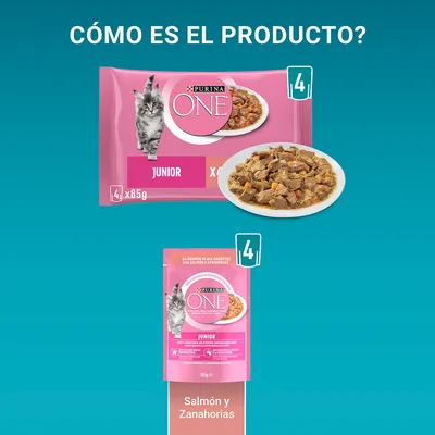 Purina ONE Junior, pack de 4 sobres de 85 g con salmón y zanahorias para gatos, imagen del sobre, comida en plato y texto visible: 'Salmón y Zanahorias'.