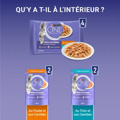 Purina ONE Spécial Chat Sensible, lot de 4 sachets : 2 au poulet et aux carottes, 2 au thon et aux carottes, sachets de 85 g chacun, visuel du produit et croquettes en assiette.
