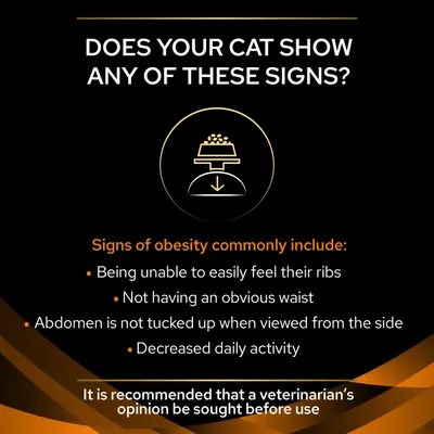 Does your cat show any of these signs? Signs of obesity: unable to feel ribs, no obvious waist, abdomen not tucked up, decreased activity. Vet advice recommended before use.