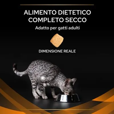 ALIMENTO DIETETICO COMPLETO SECCO, Adatto per gatti adulti, DIMENSIONE REALE con crocchetta visibile e gatto adulto che mangia da una ciotola.