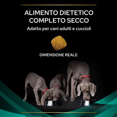 ALIMENTO DIETETICO COMPLETO SECCO. Adatto per cani adulti e cuccioli. Dimensione reale di una crocchetta mostrata. Tre cani grigi con collare rosso mangiano da ciotole metalliche.