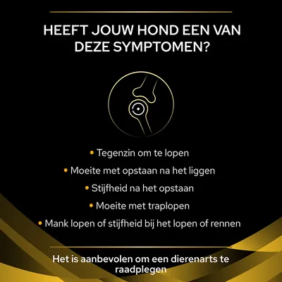 Heeft jouw hond een van deze symptomen? Tegen zin om te lopen, moeite met opstaan na het liggen, stijfheid na het opstaan, moeite met traplopen, mank lopen of stijfheid bij lopen of rennen. Het is aanbevolen om een dierenarts te raadplegen.