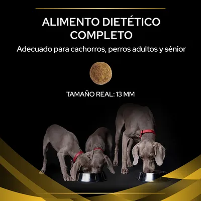 Alimento dietético completo. Adecuado para cachorros, perros adultos y sénior. Tamaño real: 13 mm. Tres perros grises con collar rojo comiendo de cuencos metálicos.